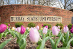 Murray State University brick wall with tulips