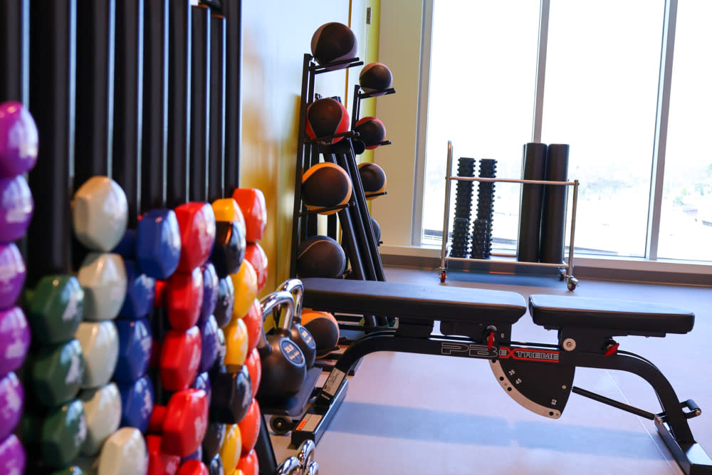 Institute of physical therapy and movement at Harrisburg University of Science and Technology