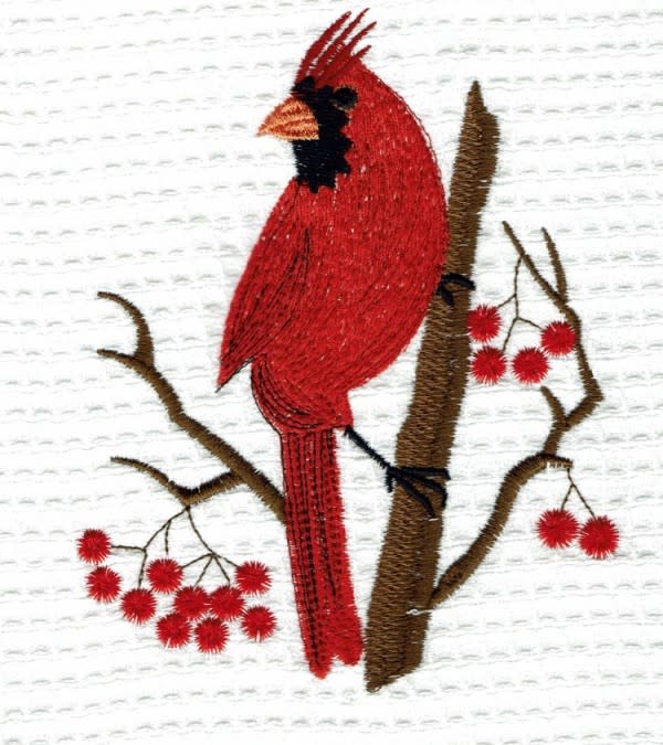 Towels are $20.00  various colored stock