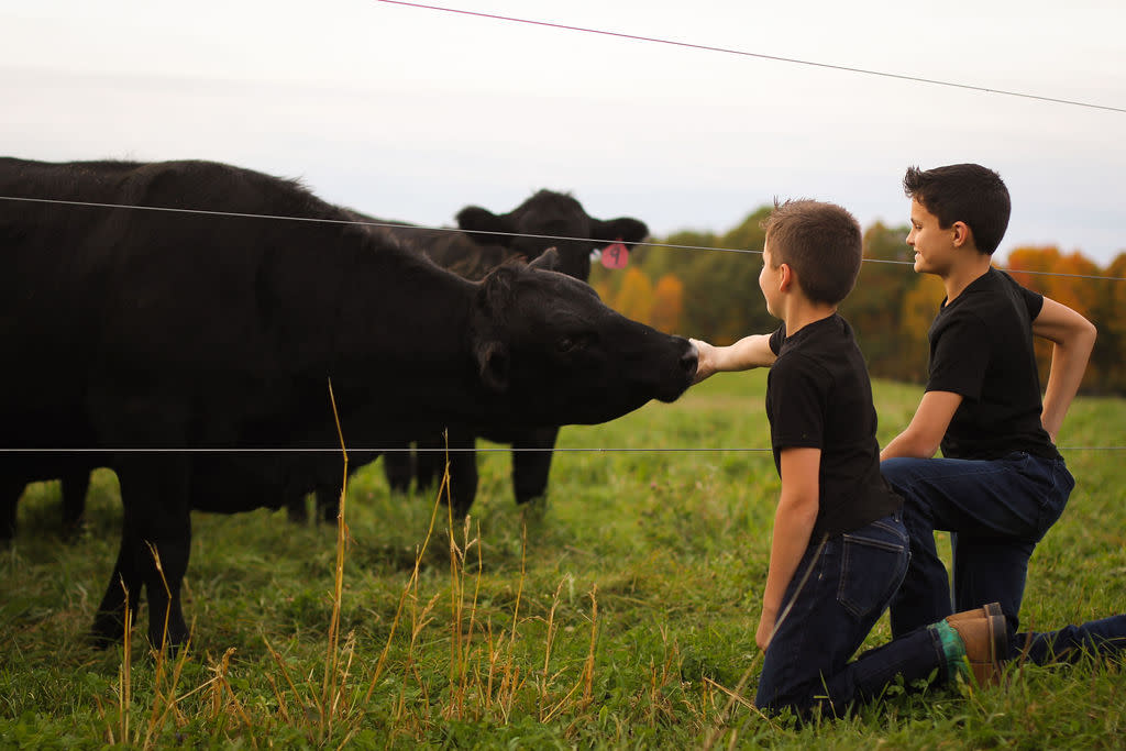 The Endvick boys greet the herd