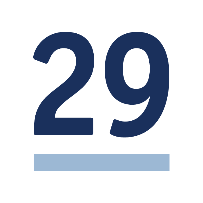 Rule29
