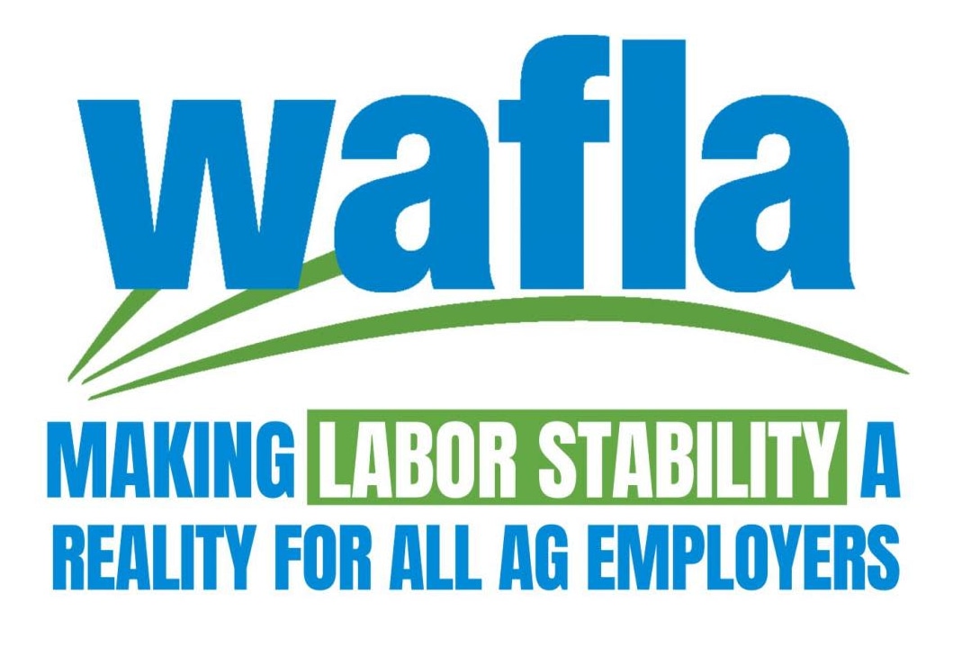 wafla