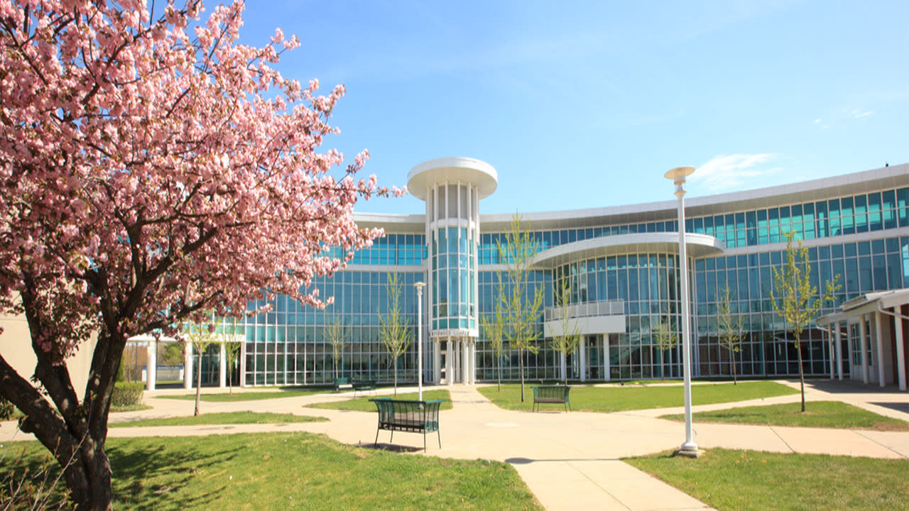 Pink flowers on tree in main courtyard of CT State Manchester