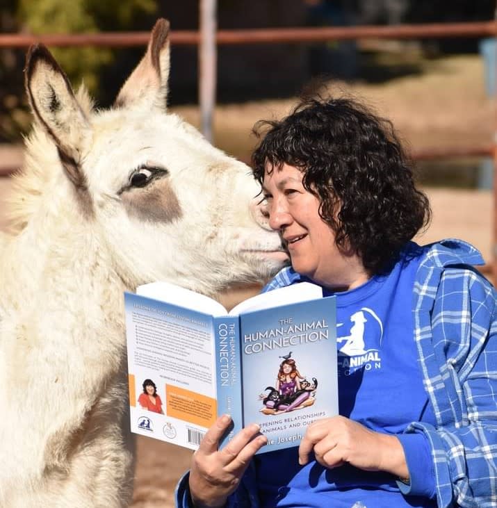 On Donkey Time - A Mindfulness Workshop with Donkeys