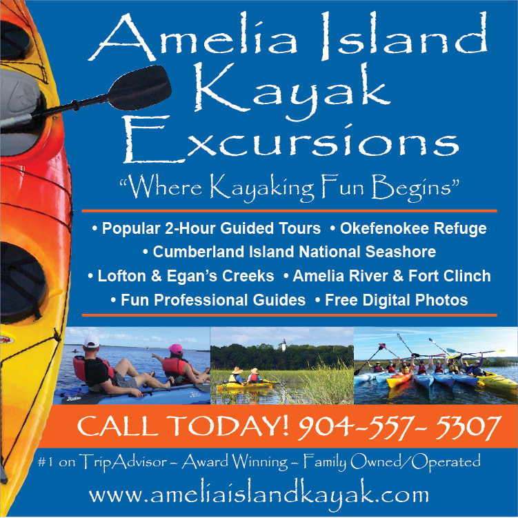 Amelia Island Kayak Excursions