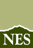 NES logo