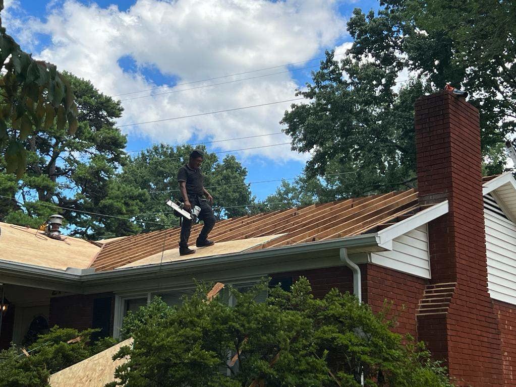 New wood on roof