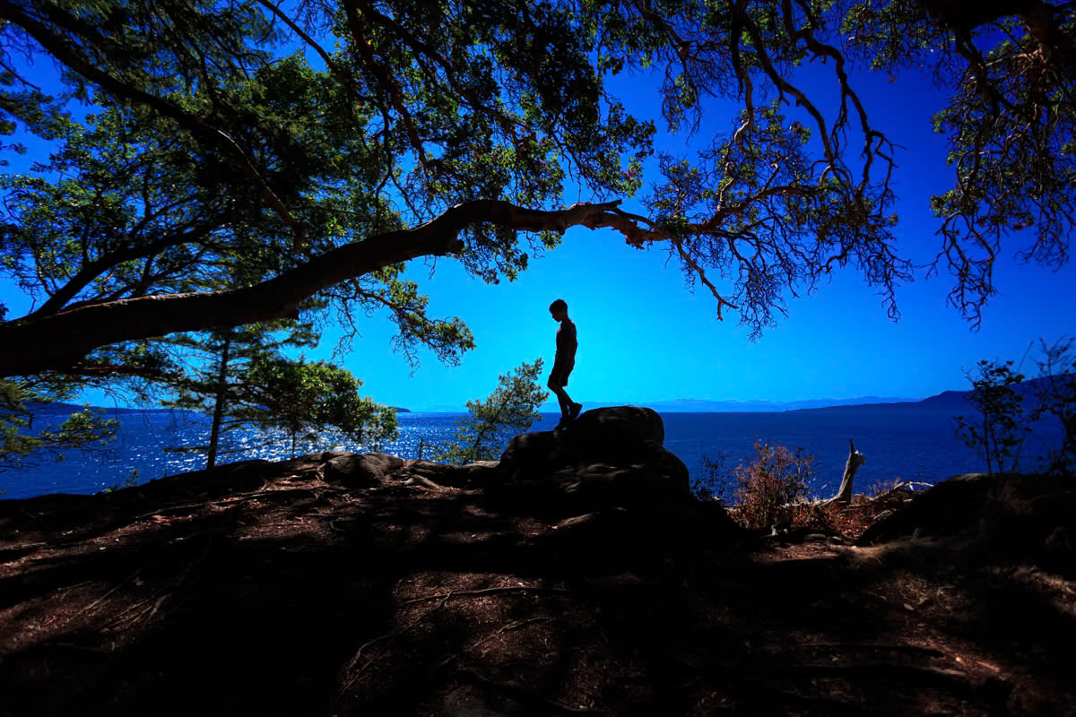 Silhouette of boy descending rock with ocean and blue sky in background and tree branches all around Sunshine Coast, BC