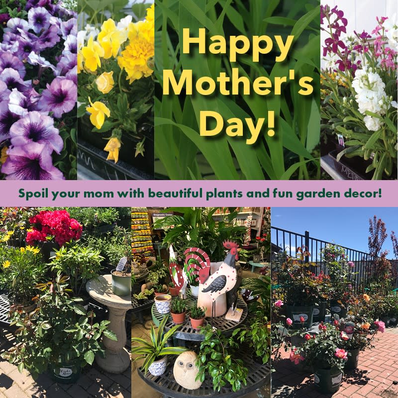 Mendo Mill & Lumber Co. - Willits