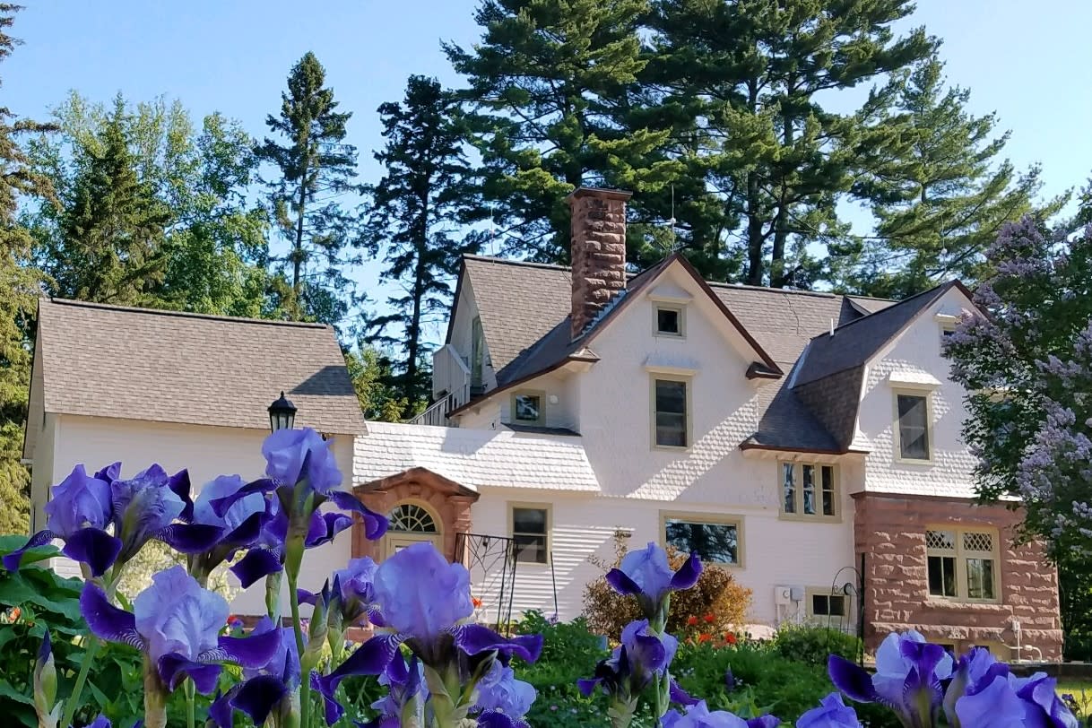 Purple iris with side view of cream wood frame and brownstone historical house in the background with soaring white pines