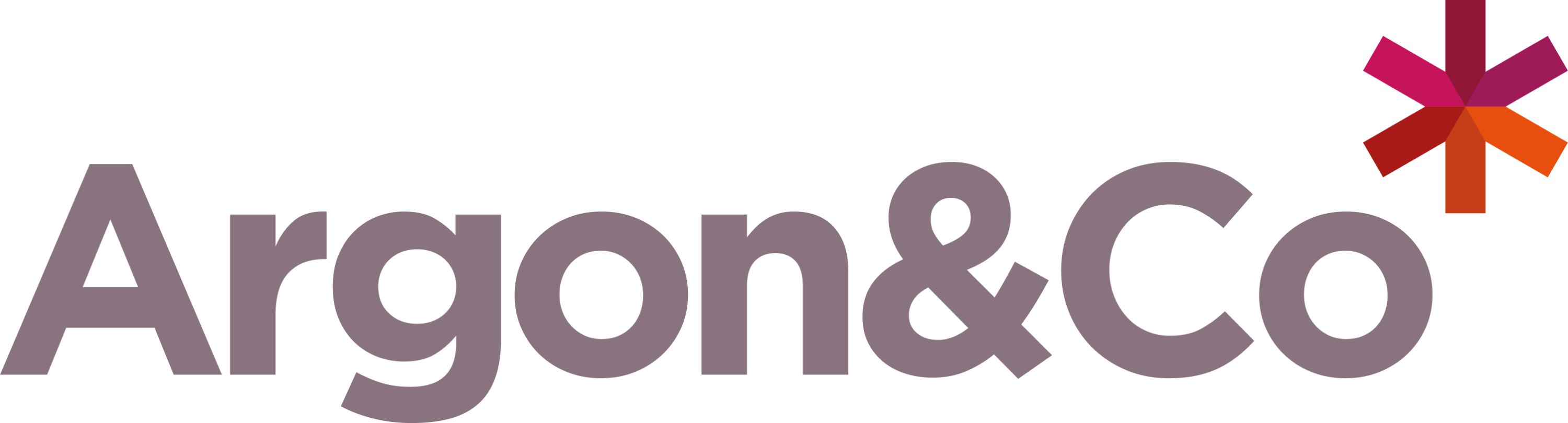 Argon & Co logo