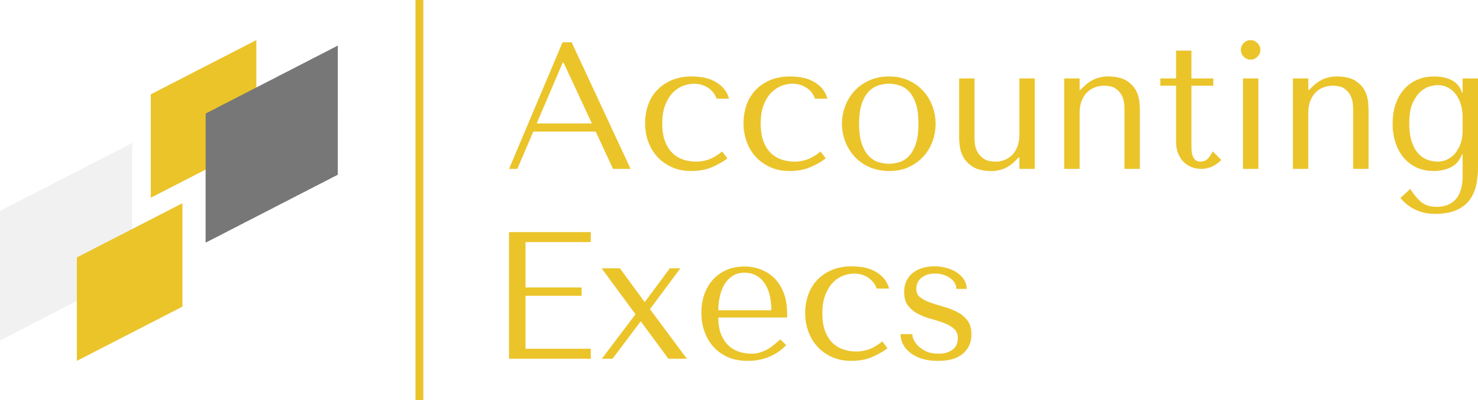 Accounting Execs, LLC