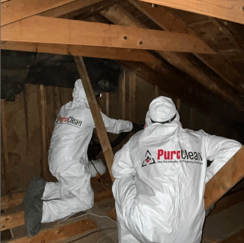 PuroClean Property Restoration