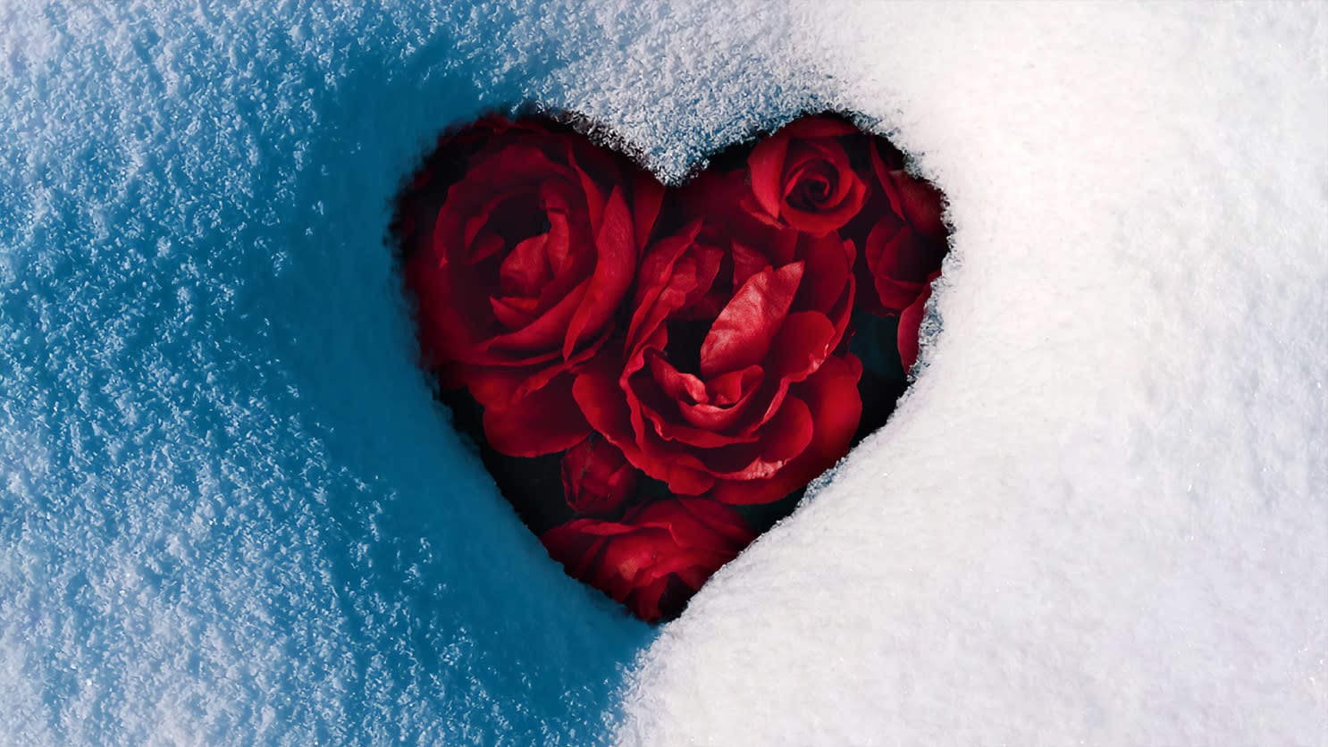 A heart-shaped hole in the ground is filled with vibrant red roses and surrounded by snow.