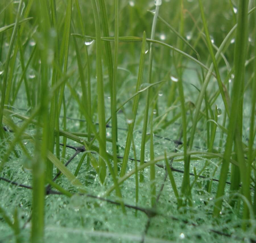 Recyclex® TRM - Turf Reinforcement Mat