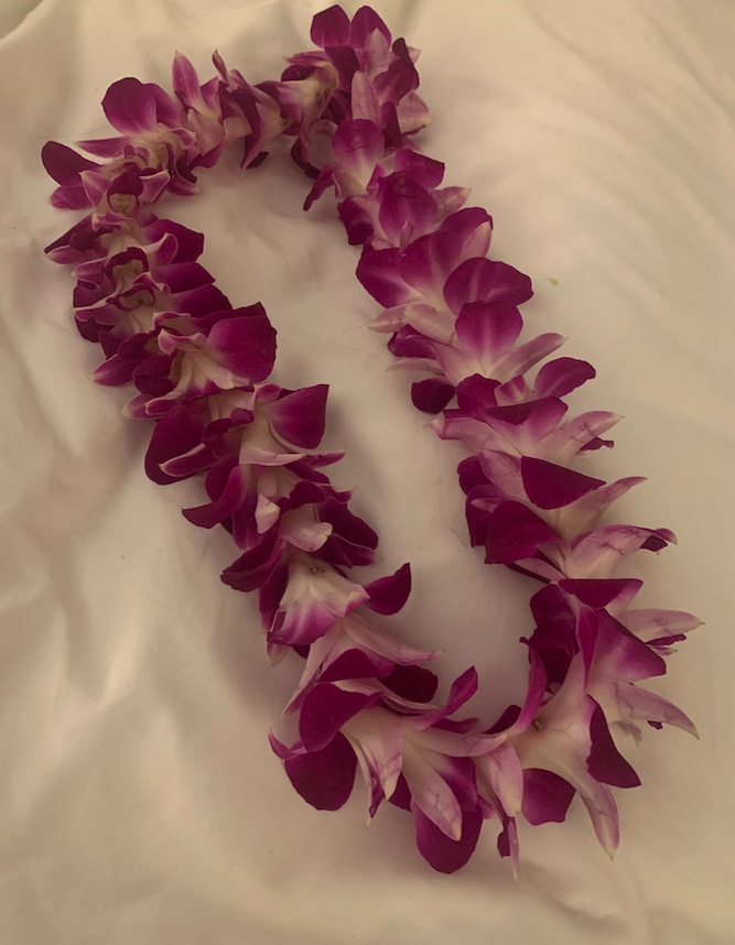 Hawaiian lei made of fresh purple flowers