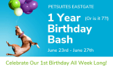 petsuites first birthday