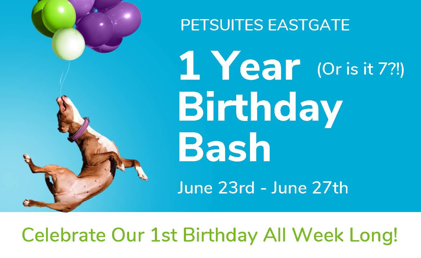 petsuites first birthday
