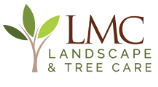 Professional landscapers from LMC Embark Landscape & Tree Care trimming trees and maintaining a lush, healthy outdoor space.