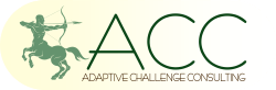 Adaptive Challenge Consulting