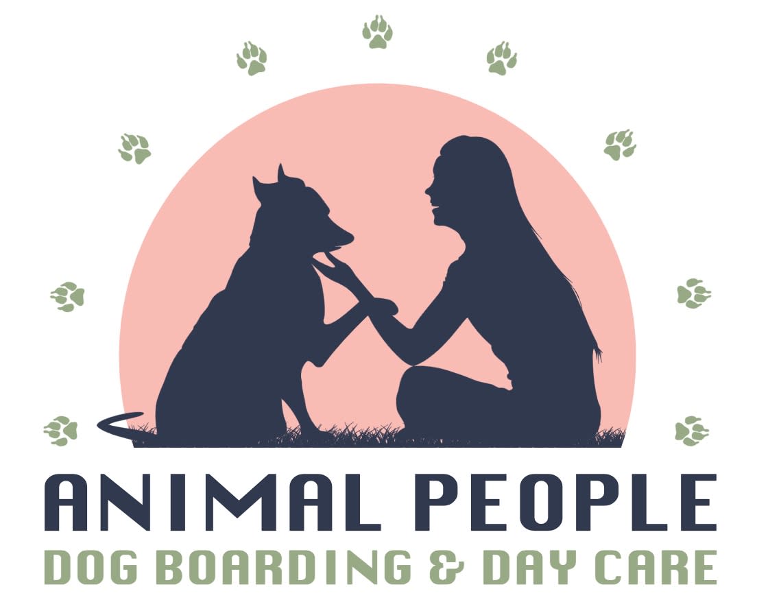 Dog Day Care in Charlotte NC