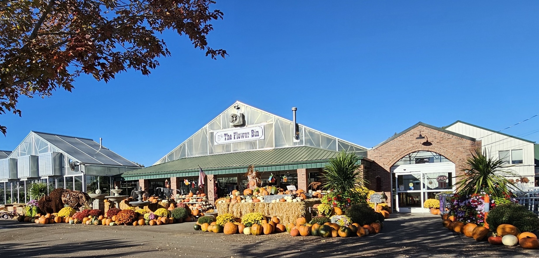 the flower bin store with pumpkins and Autumn decor