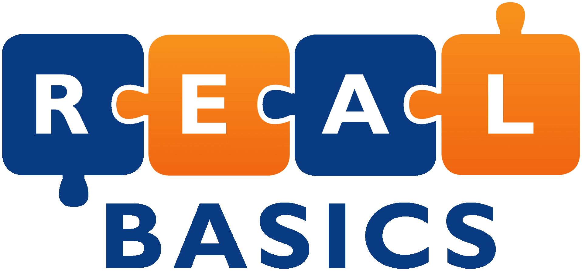 RealBasics.com - Wordpress website services