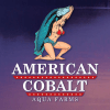 american cobalt