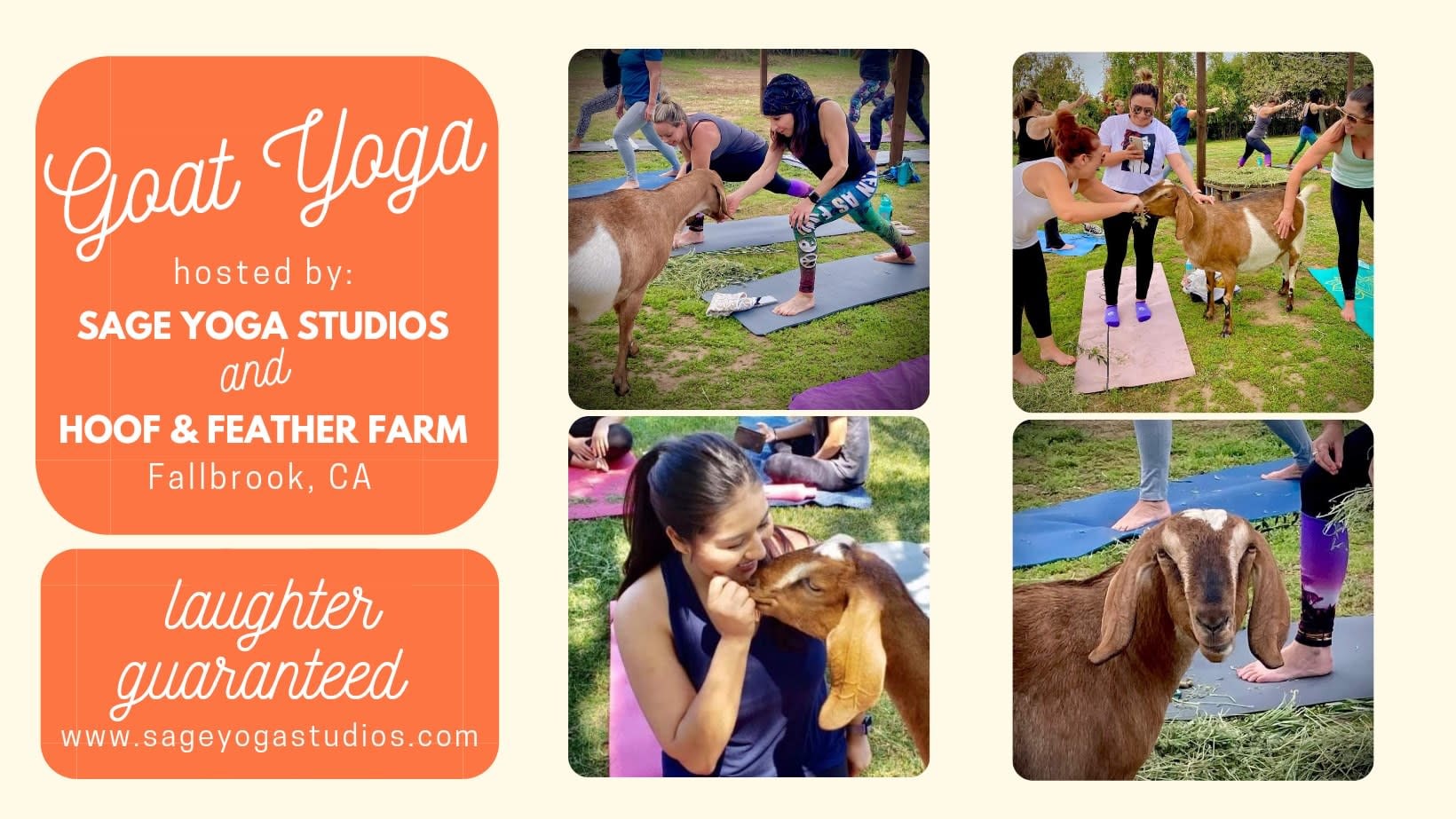 Goat Yoga Fallbrook Chamber of Commerce