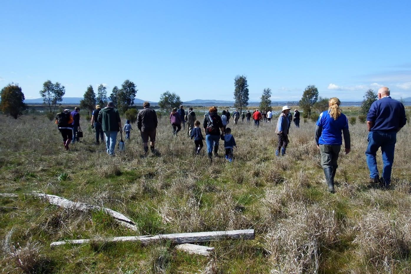 Community Planting Day