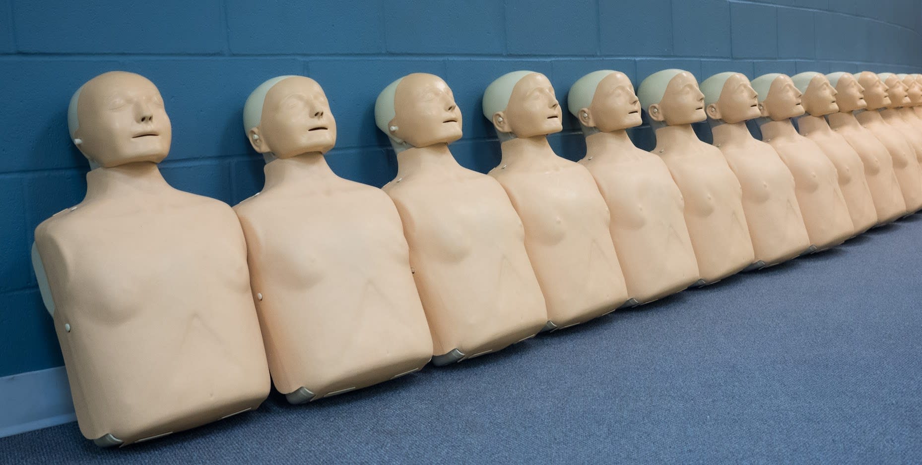 Line of Little Anne CPR manikins against a blue wall