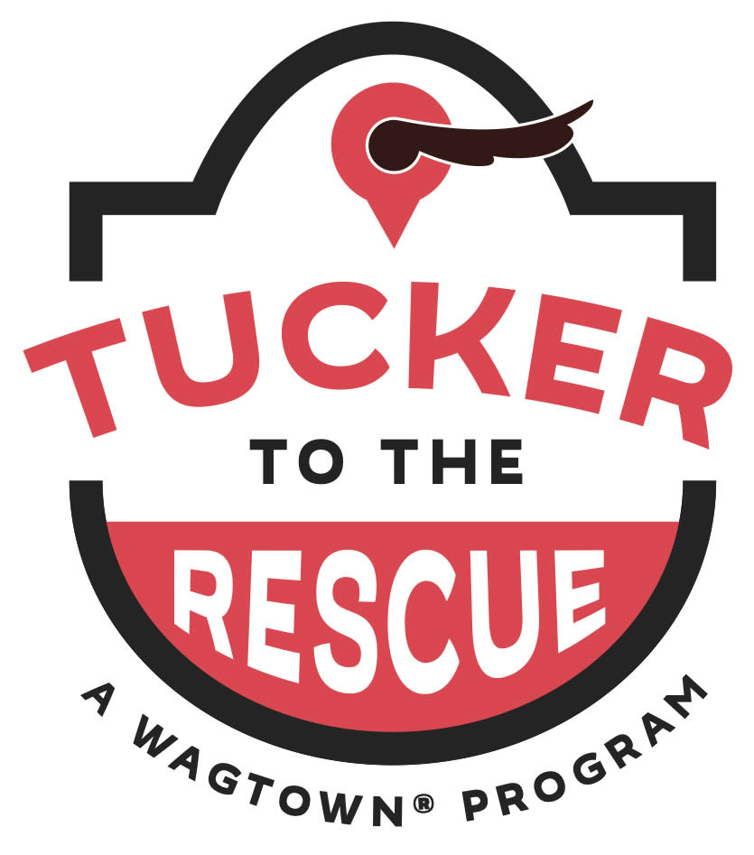 Animal welfare advocacy marketing communication support kit from Wagtown