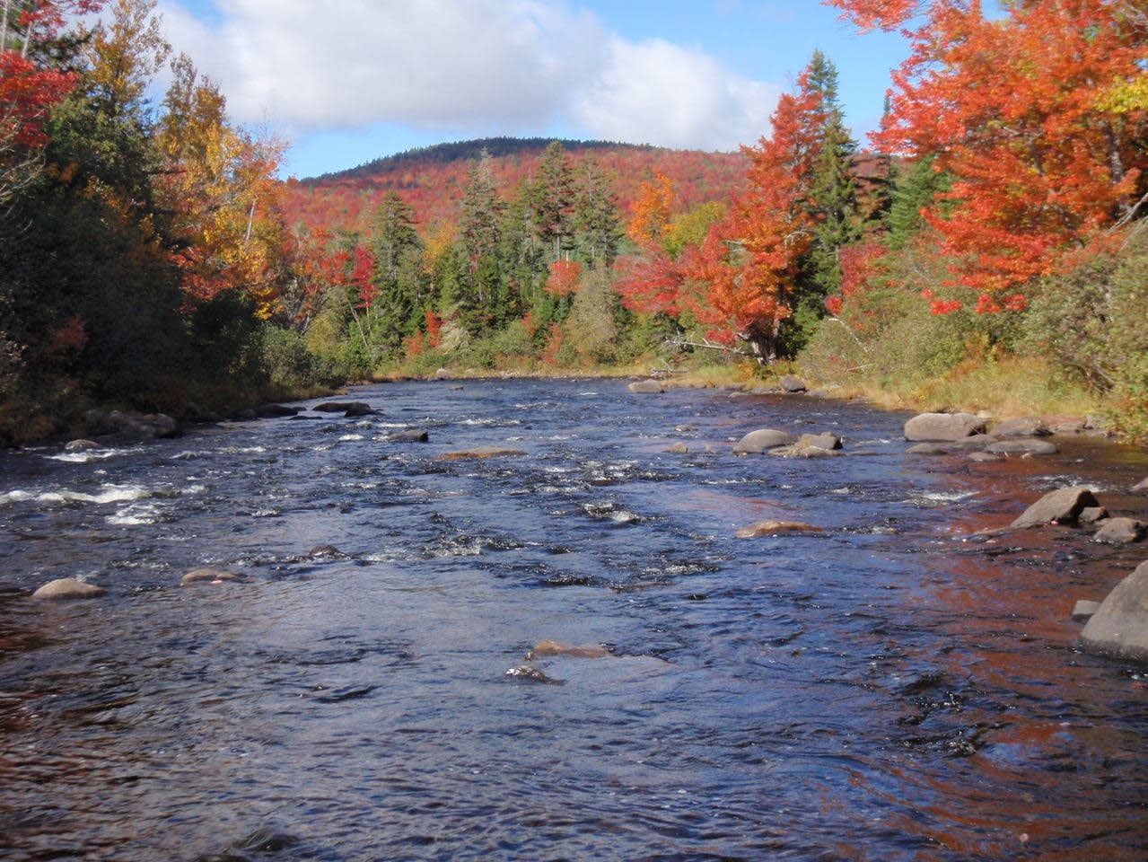 a Rangeley area river with fall foliage