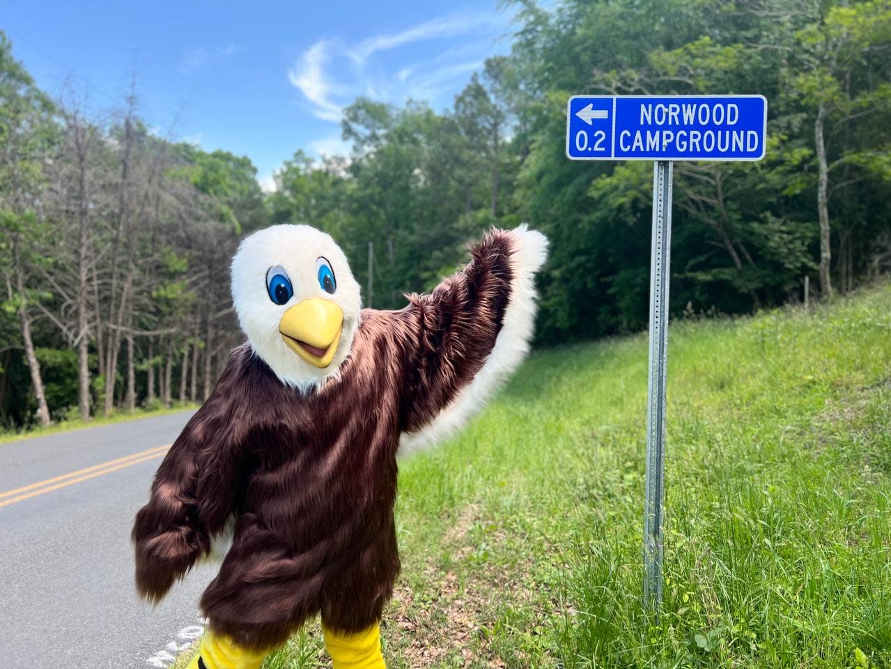 Tilley, Norwood Campground's Bald Eagle Mascot, is standing beside a road sign that says "Norwood Campground 0.2 miles".