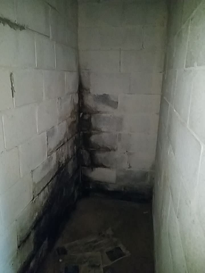 Mold in Rome GA Basement