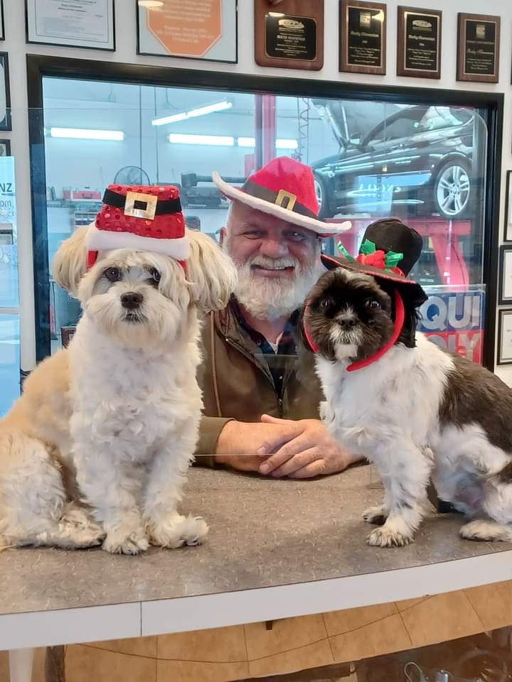 Bimmer and Benz Specialists located in Costa Mesa, specializing in BMW, Mercedes Benz and Mini cars.