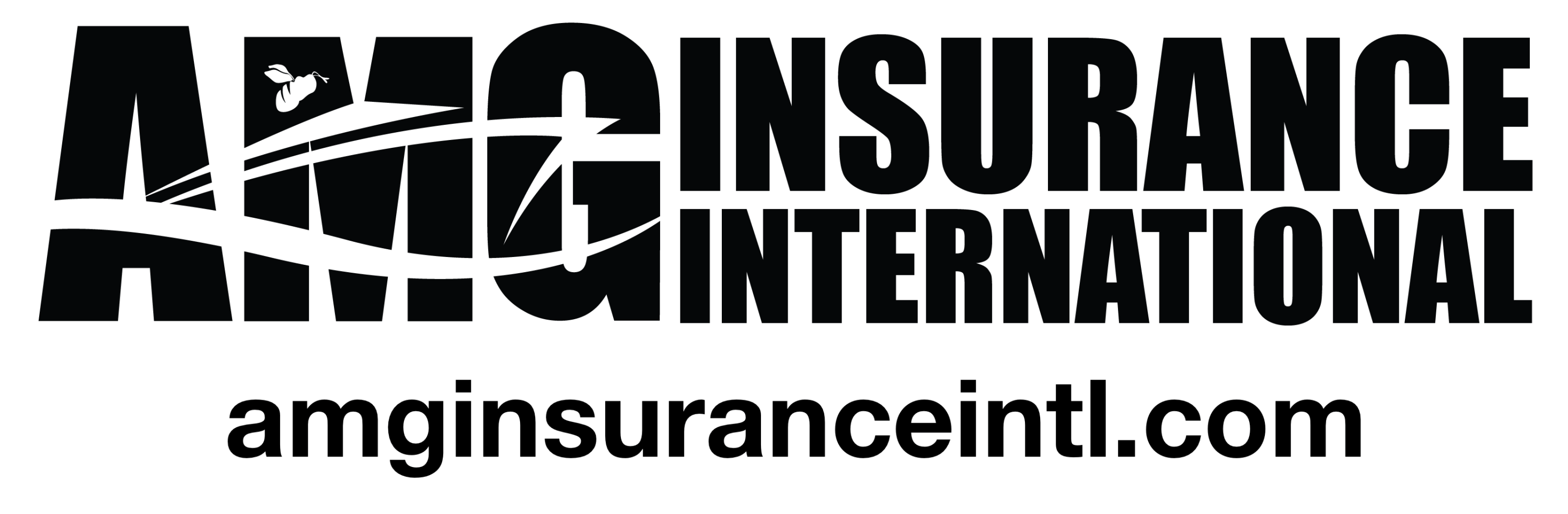 www.amginsuranceintl.com
