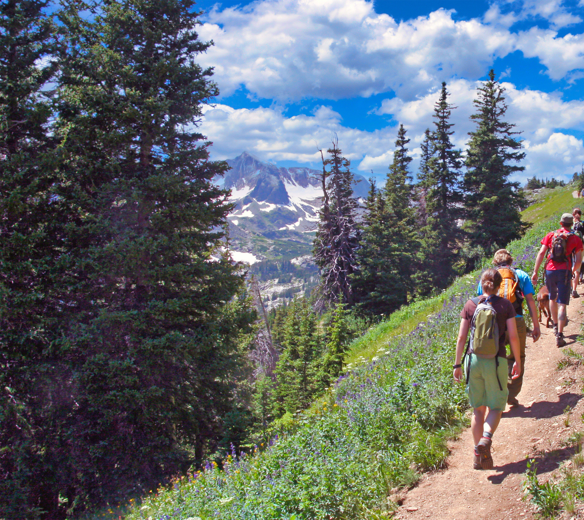 mountain hikers