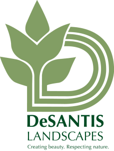 DeSantis Landscapes Logo