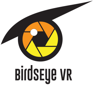 BirdsEye VR Logo