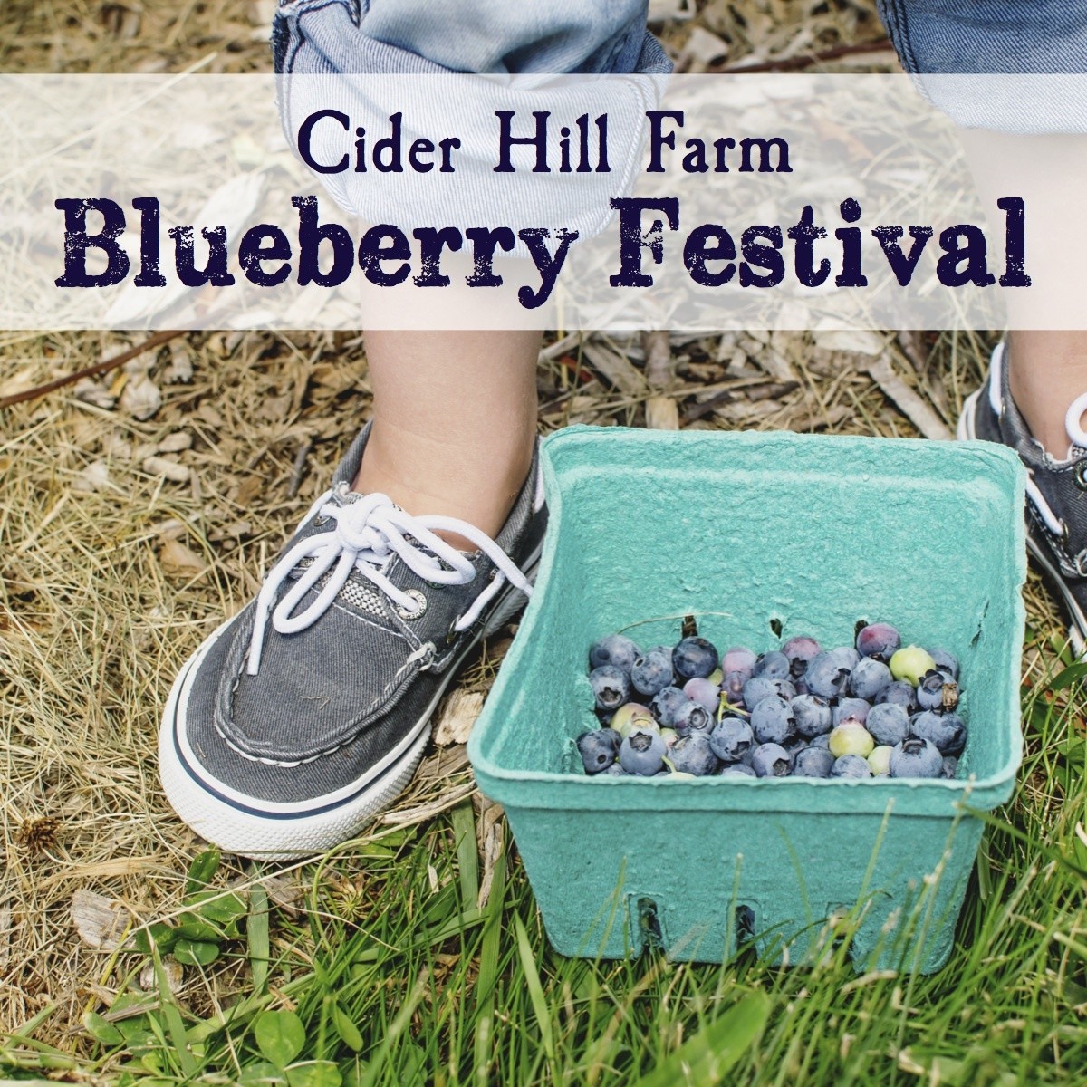 Annual Blueberry Festival Our mission is to create positive change