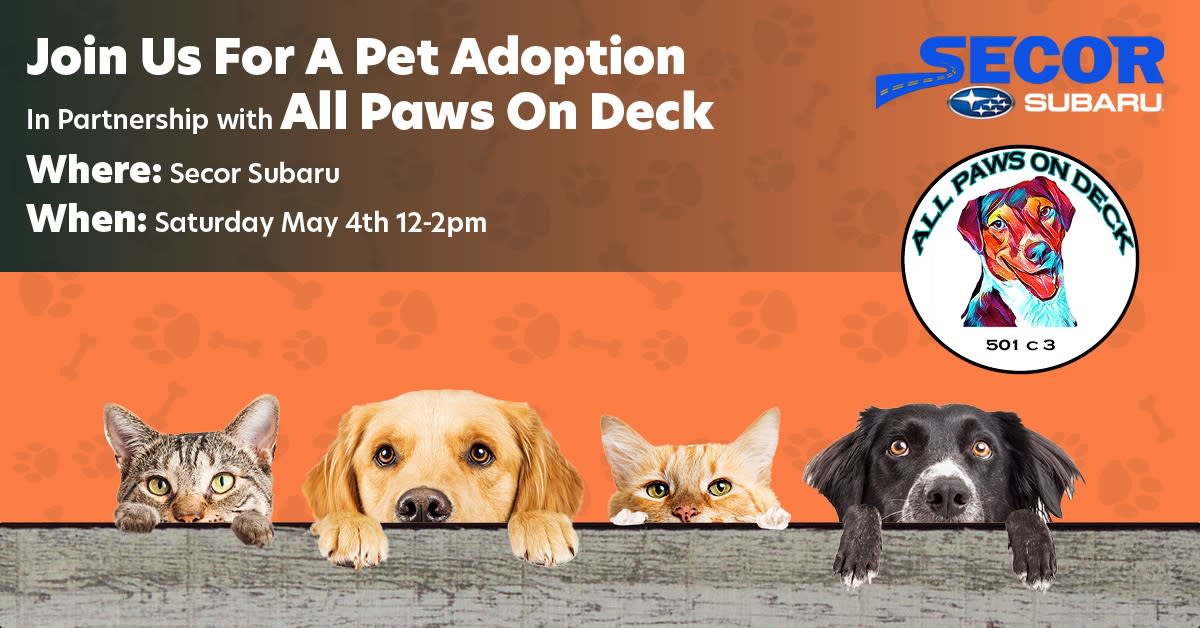 Join us for a Pet adoption in partnership with All Paws on Deck ...