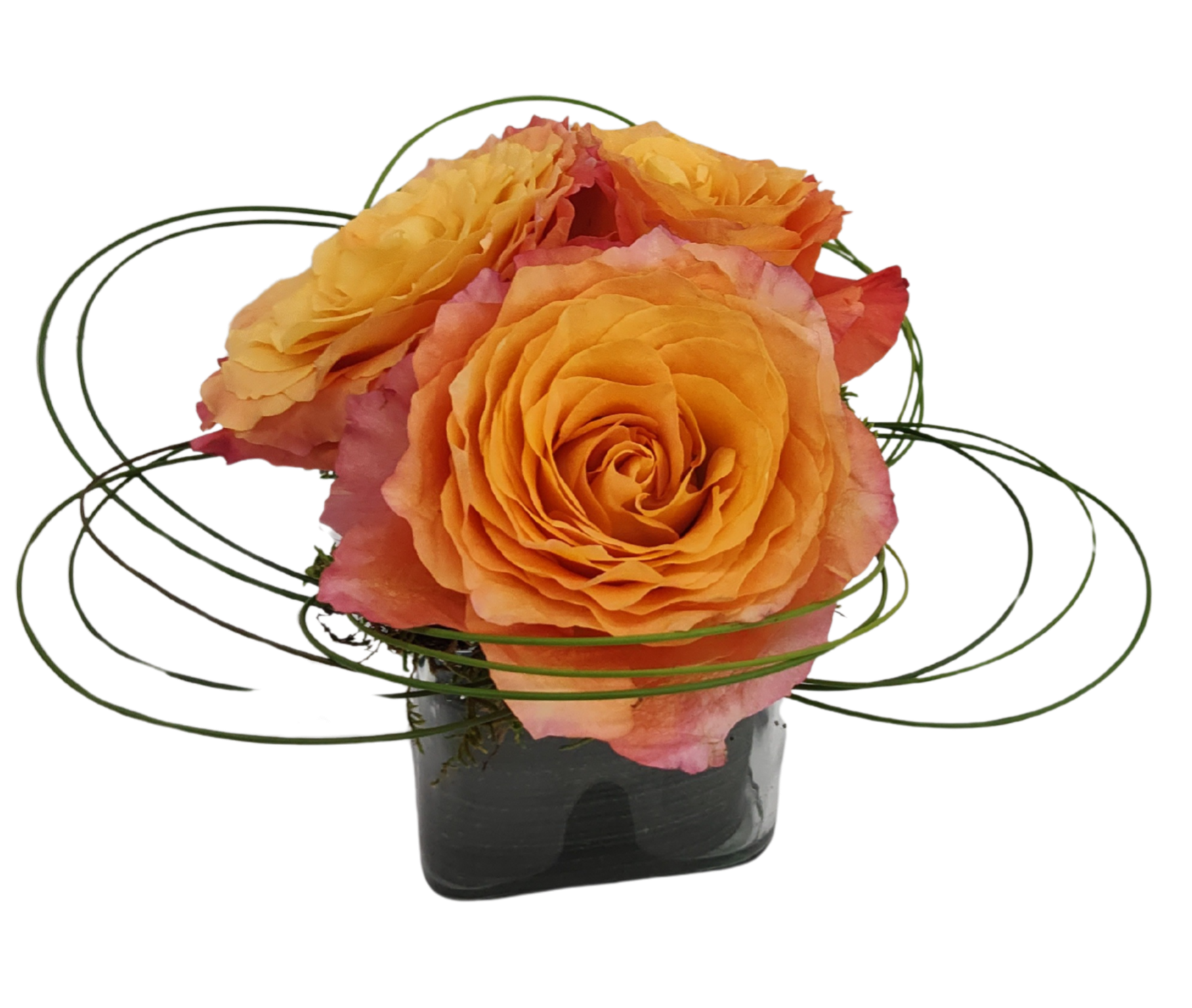 Vertical floral design with large reflexed kale as the focal area.  The vertical line is created with blue delphinium, and accented with 4 green carnations.  Design is in a cube vase. 