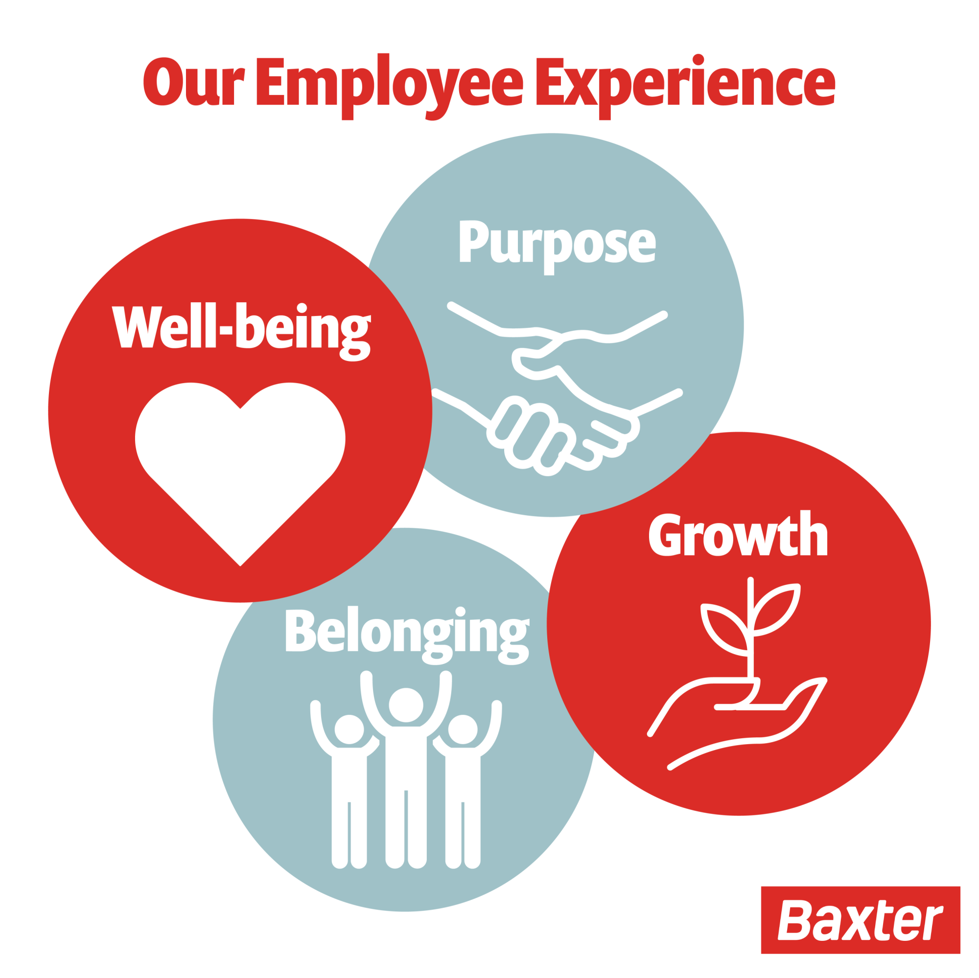 graphic of Our Employee experience, showing 4 circles - well-being, purpose, belonging and growth