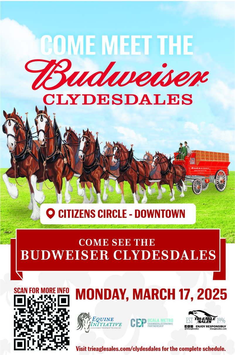 st pattys day ocala fl st pattys day ocala fl