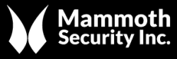 Mammoth Security Inc. New Britain