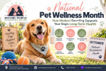 National Pet Wellness Month: How Modern Boarding Supports Your Dog’s Long-Term Health