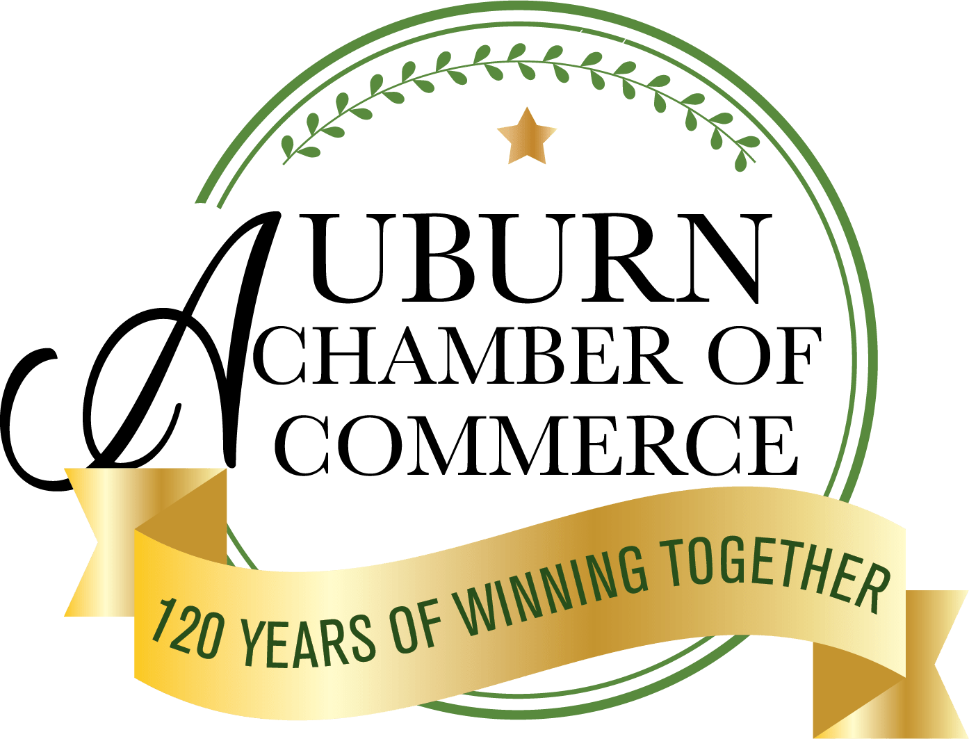 Promotional graphic for Auburn's Family Fourth 2026 celebrating the USA 250th anniversary featuring a parade flyover, Auburn