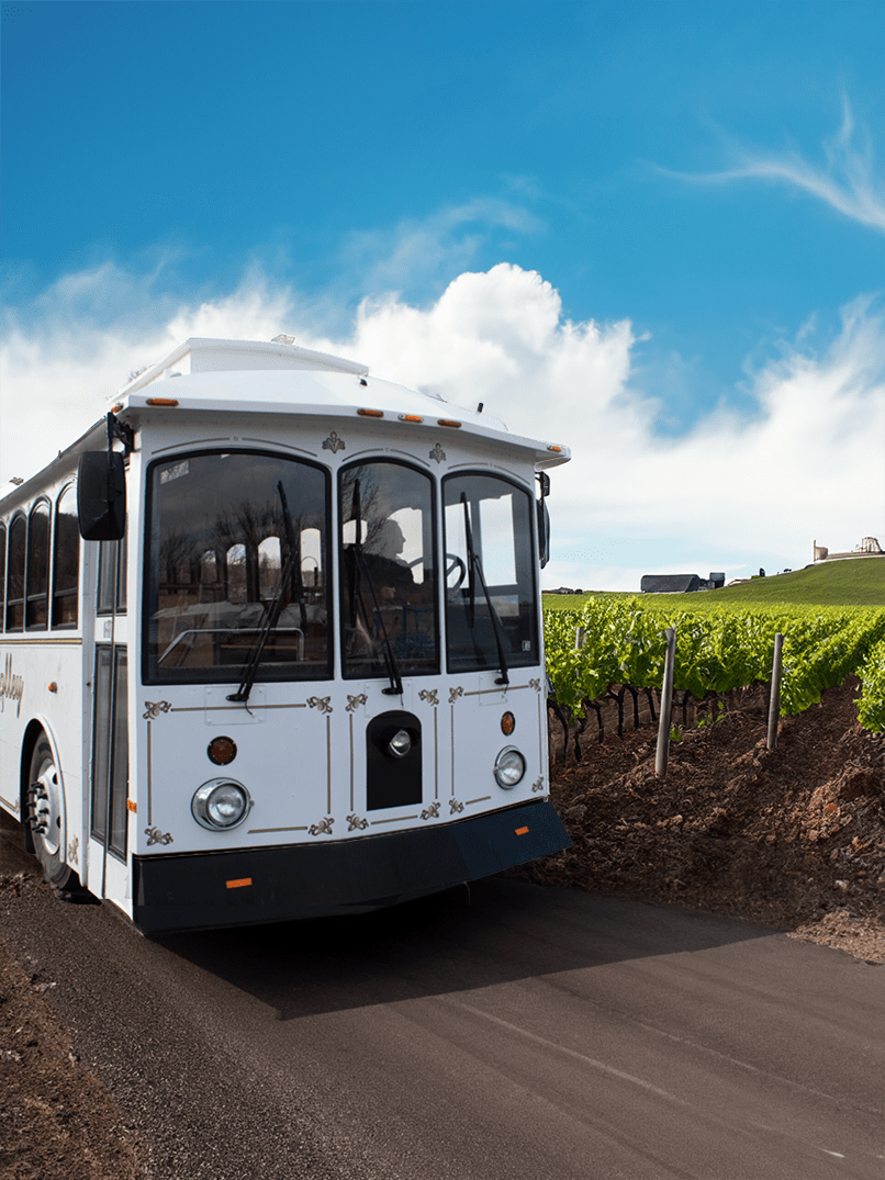 Lakeside Trolley at a vineyard