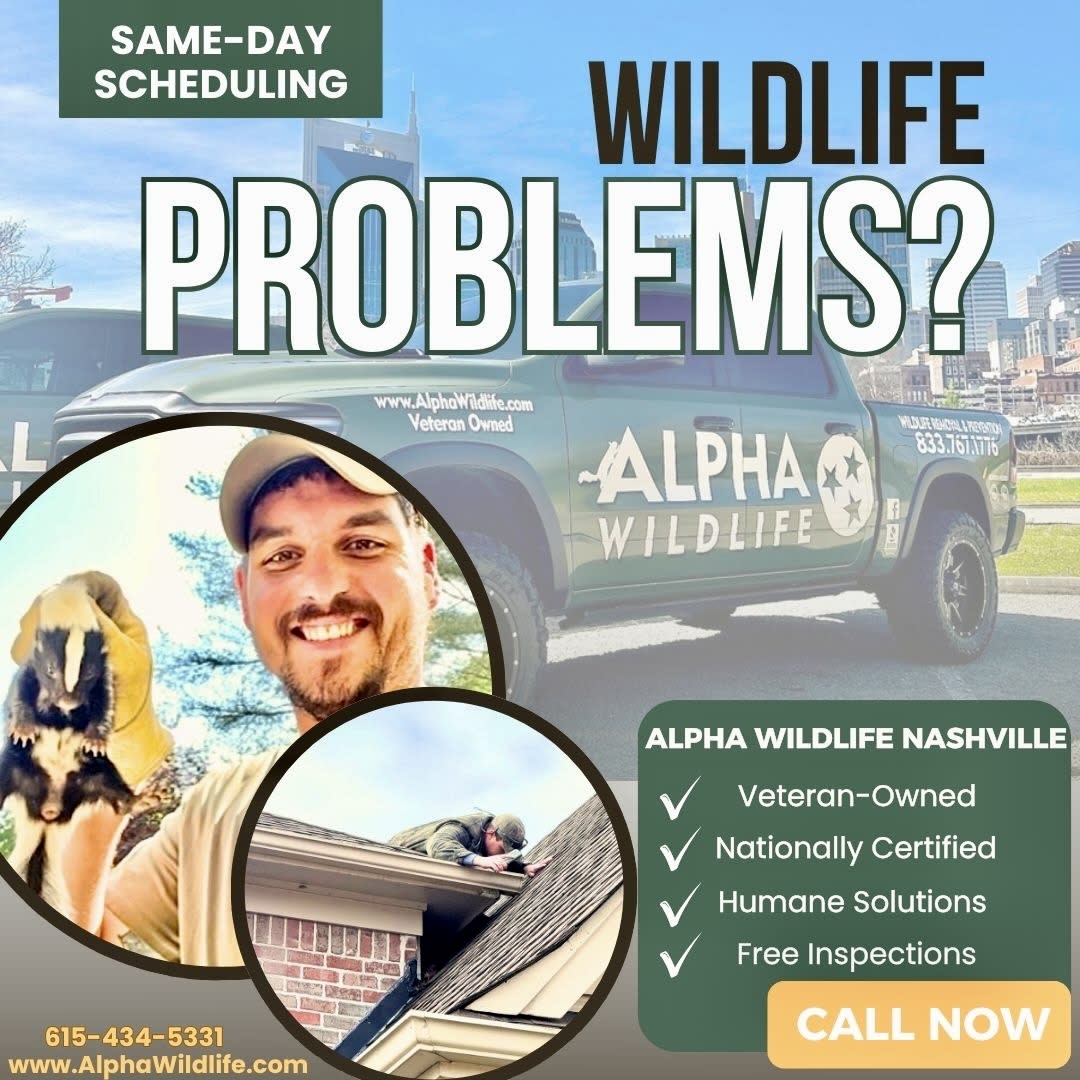 Wildlife Removal Nashville